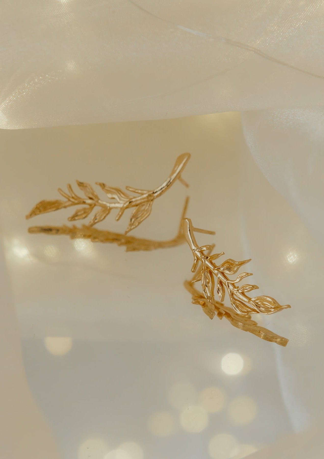 Aretes Naturaleza